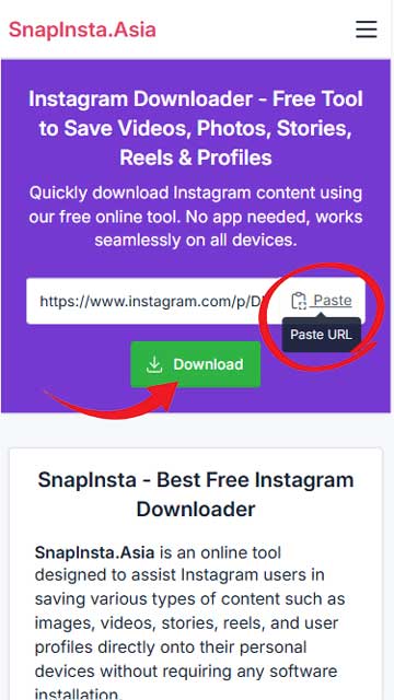 Pasting link and downloading on Android