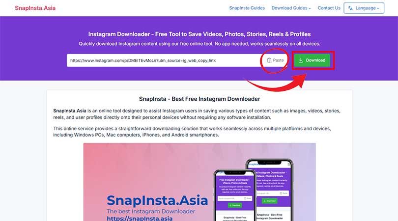 Pasting link and downloading
