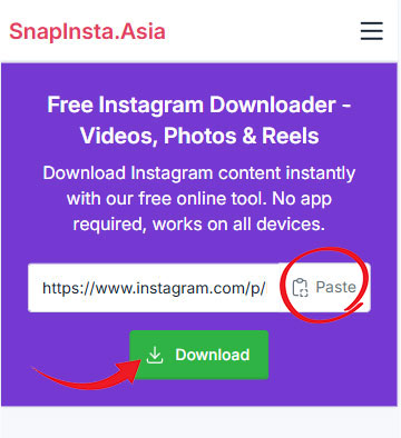 Bước 2: Nhập liên kết vào SnapInsta